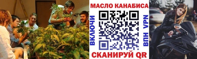 мориарти телеграм  Копейск  ТГК жижа 