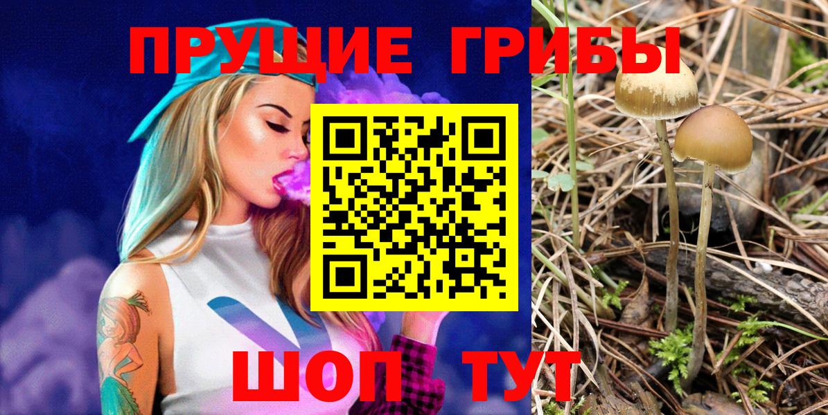 Галлюциногенные грибы GOLDEN TEACHER  Галлюциногенные грибы Cubensis  Копейск  Вход с VPN 